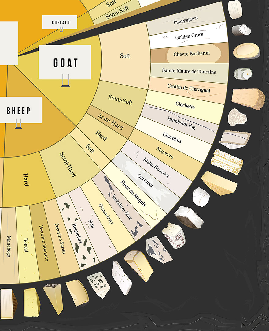 Our Cheese Wheel Chart Has 65 Delightful Cheeses From Around The World 