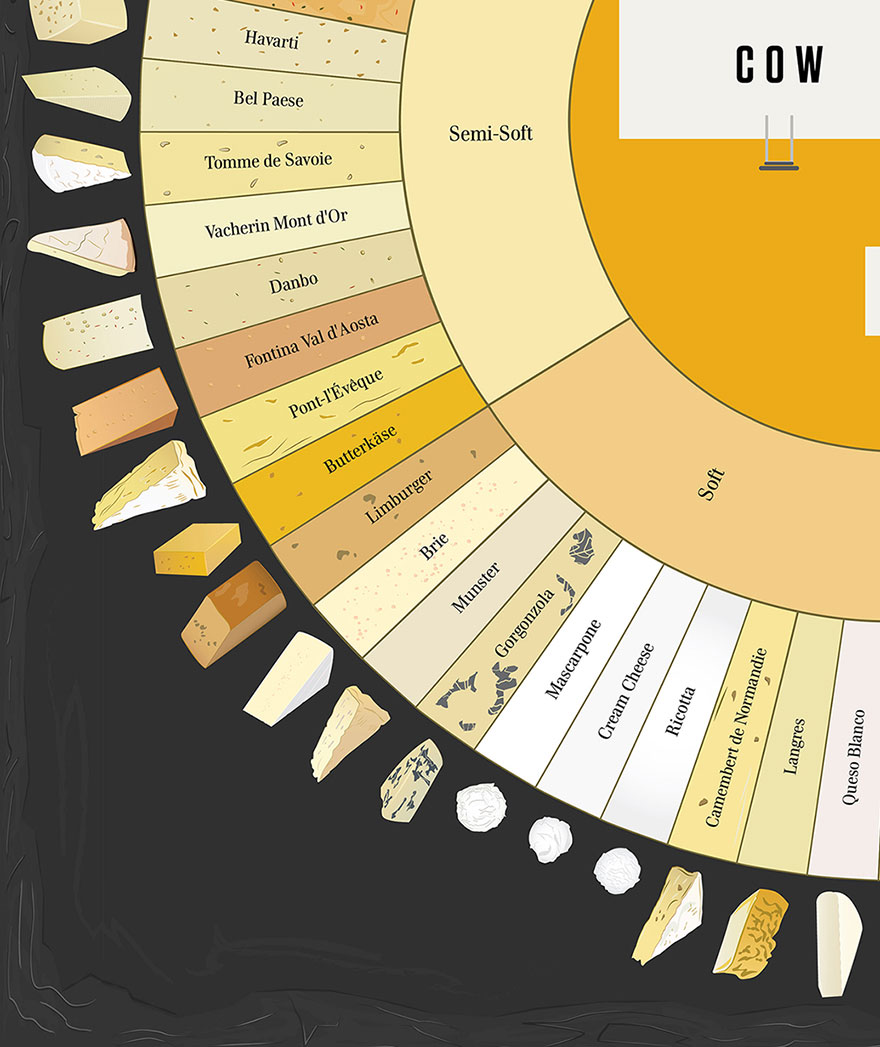 Our Cheese Wheel Chart Has 65 Delightful Cheeses From Around The World 