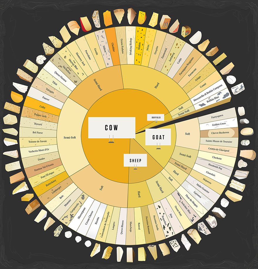 Charted Cheese Wheel