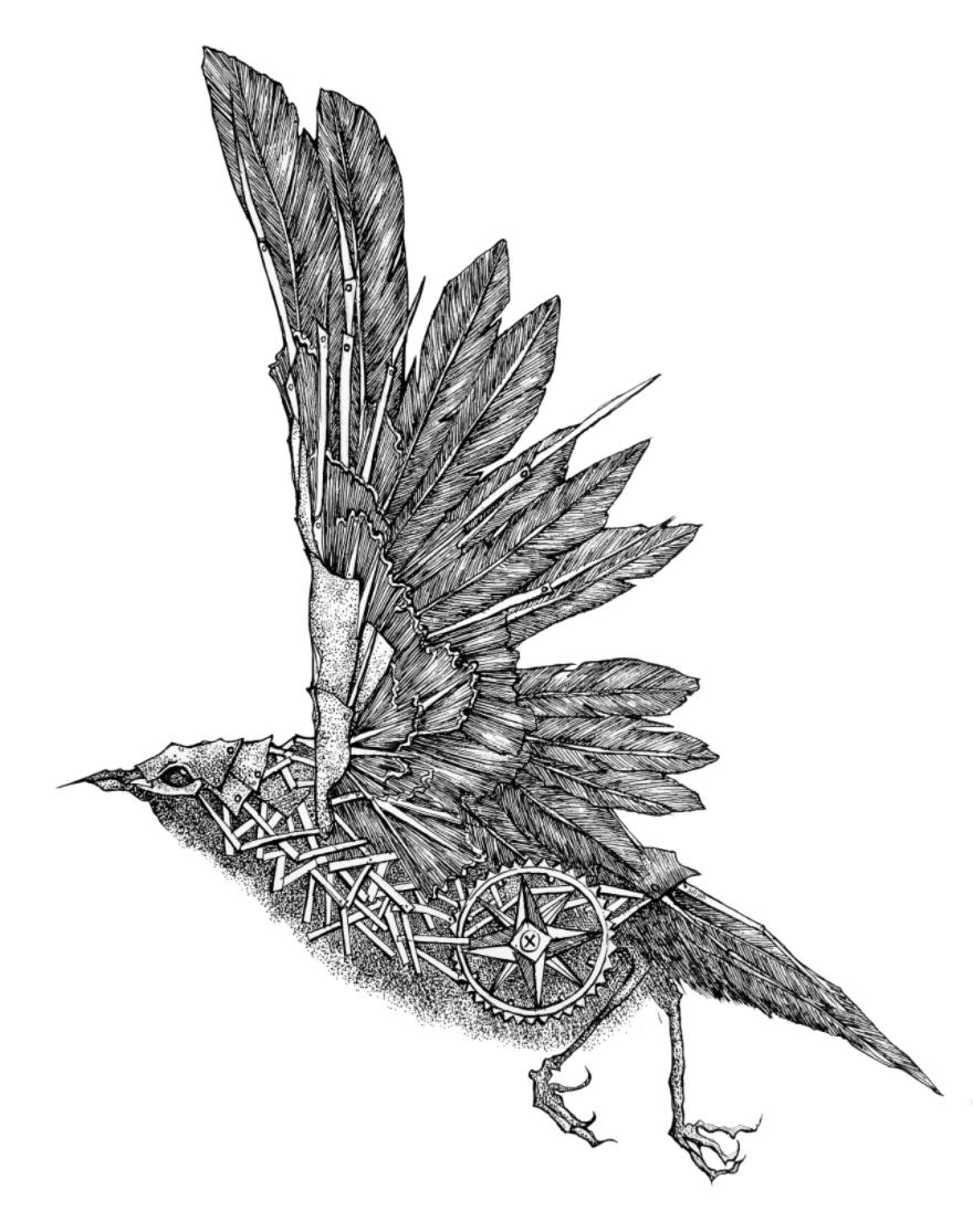 My Mechanical Birds Drawn With Ink