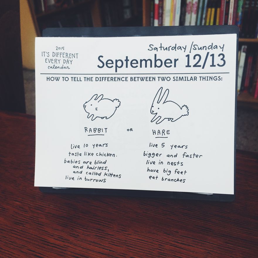 Two Portland Artists Made A Daily Calendar That Changes Every Day