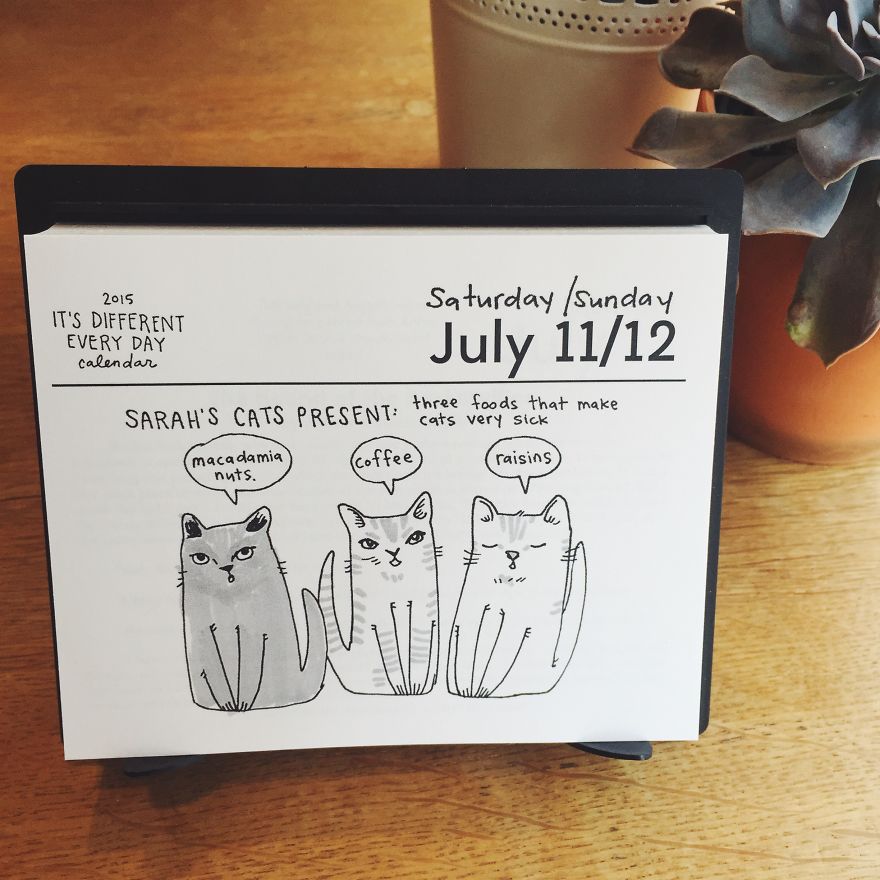 Two Portland Artists Made A Daily Calendar That Changes Every Day