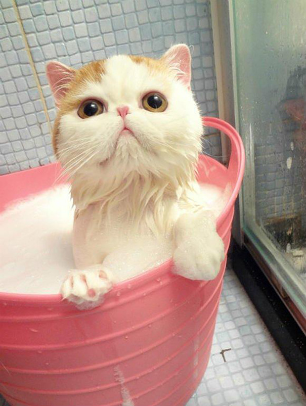 Taking A Bath