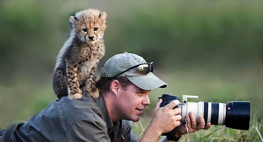 Baby Cheetah With Camera