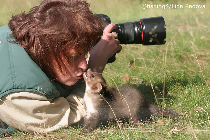 Ferret With Camera