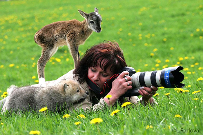 51 Animals That Want To Be Photographers