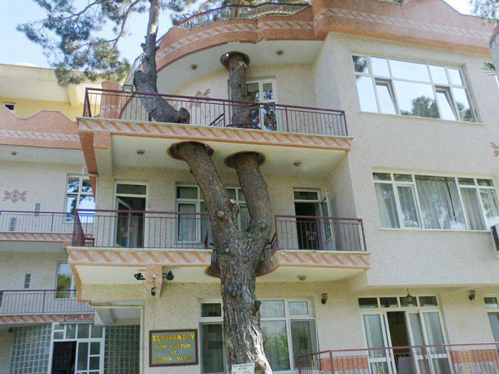 34 Clever Buildings Whose Architects Refused To Cut Down Local Trees
