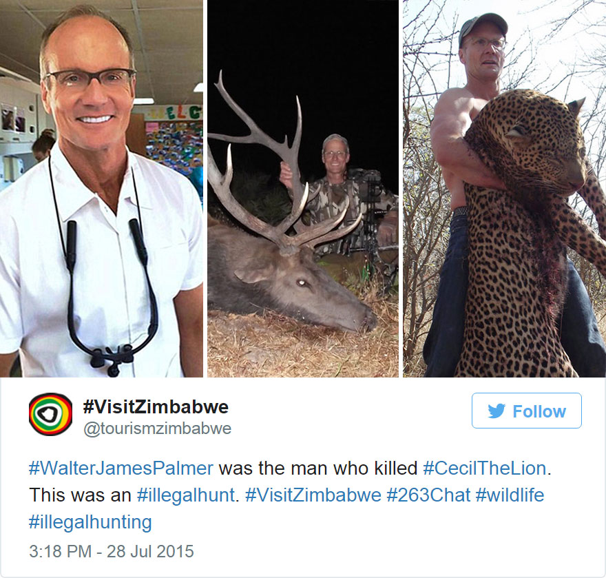 After Killing Famous Lion, Internet Outrage Forces The Killer To Close His Dental Office