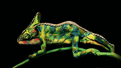 Extraordinary Camouflage Bodypainting By Johannes Stötter