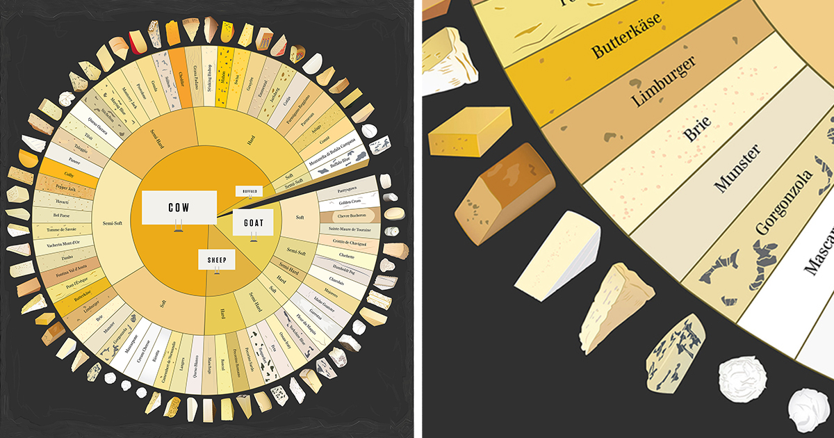 Types Of Cheese Chart