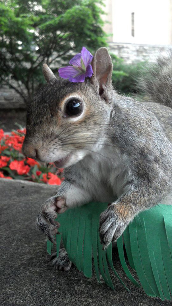 Student Befriends Squirrels On Campus And Dresses Them In Cute Costumes