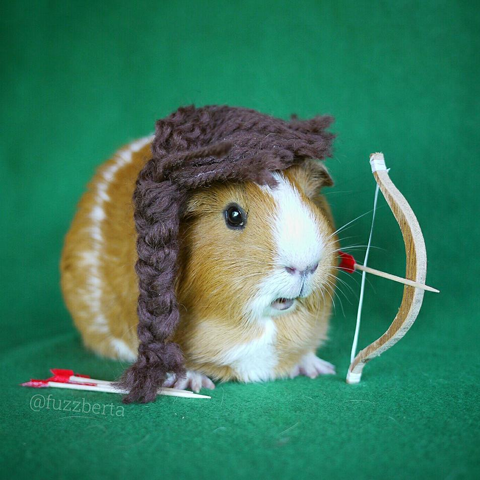cute-hamster-costumes-fuzzberta-instagram-2