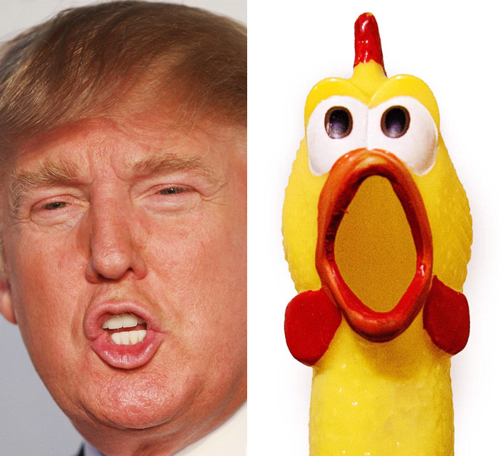 Donald Trump Looks Like A Rubber Chicken