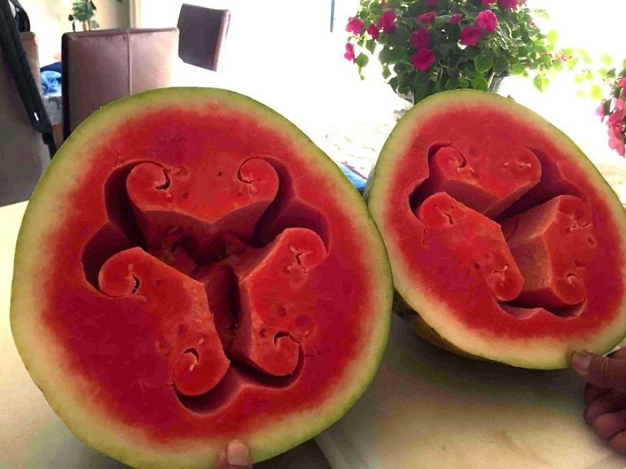 These Beautiful Watermelon Patterns Are Driving Everyone Crazy