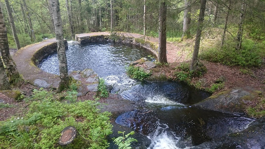 Natural Swimming Pool In The Forest