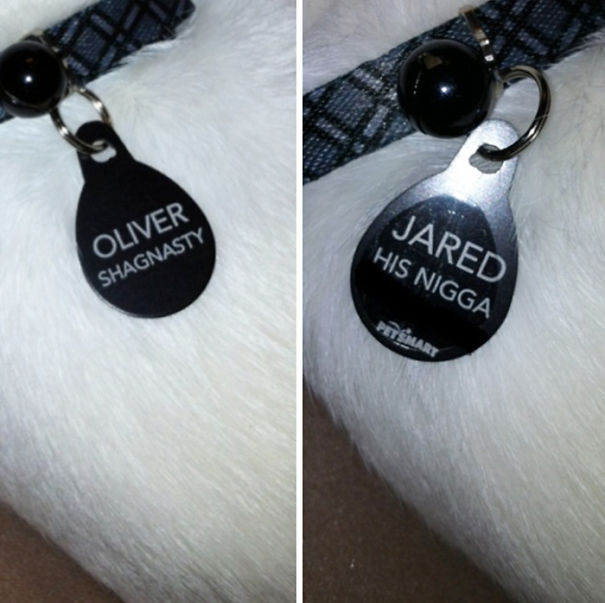 Our Cat Lost His Collar And Name Tag So, I Sent My Boyfriend To Get New Ones