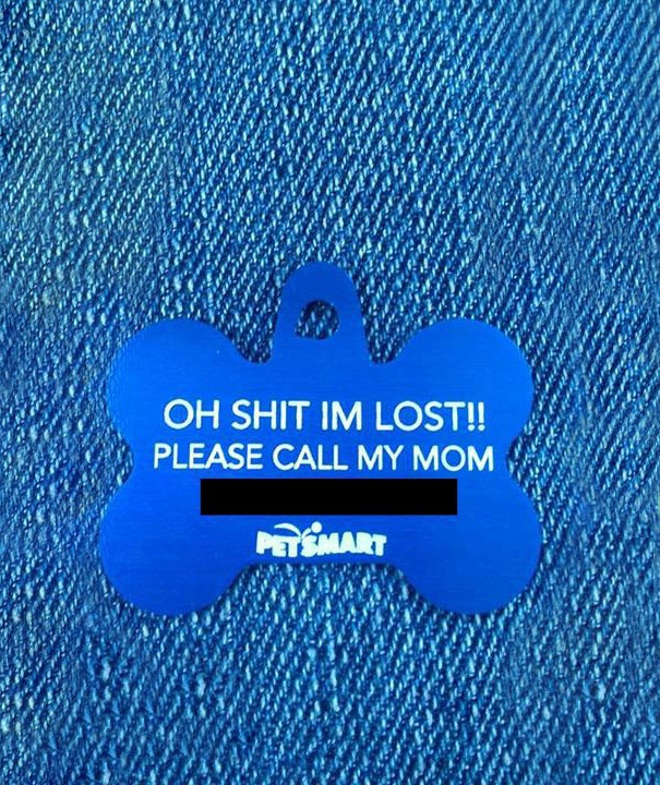 A Friend Of Mine Got Her Dog A New Tag Today