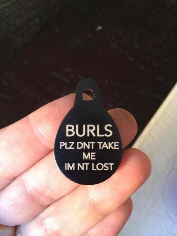 Friends New Cat Tag, She Kept Getting Adopted