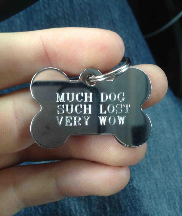So My Brother Got A New Dog Tag