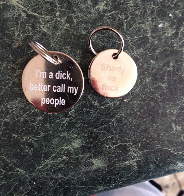 One Dog, One Cat, Two Extremely Accurate Tags