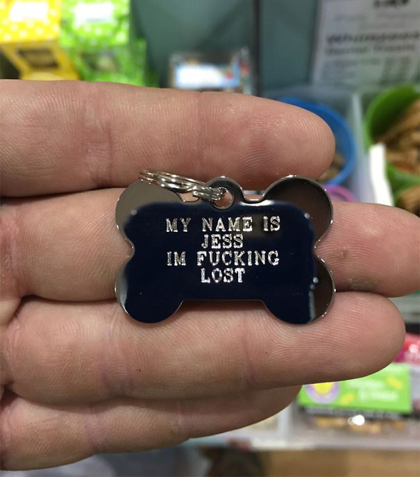 I Bought Puppy Dog A Lost Tag