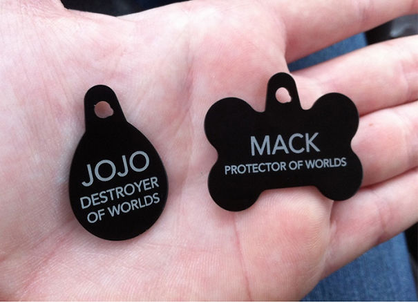 We Moved, So I Had To Get The Dog And Cat New Name Tags