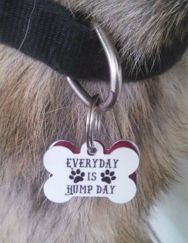 Counter Surfer red CUSTOM funny humor pet dog cat tags colors