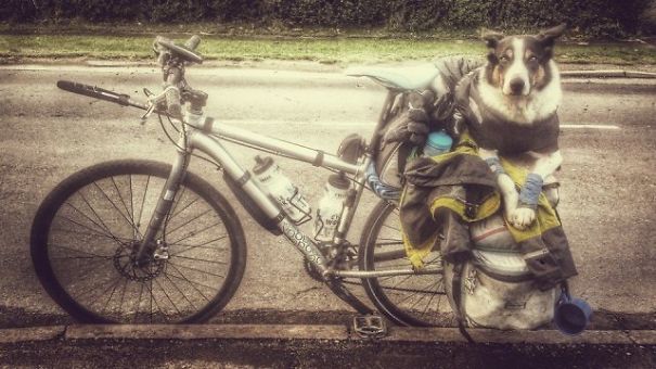 This Guy Gave It All Up To Cycle The World With His Dog This Guy Gave It All Up To Cycle The World With His Dog