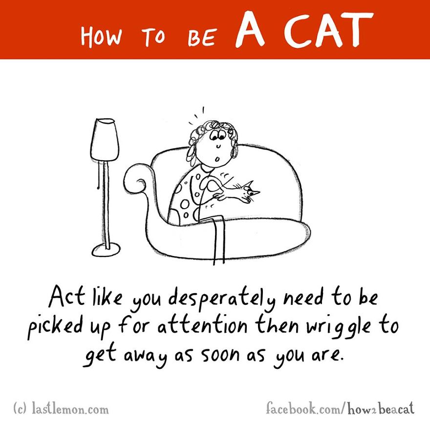 How To Be A Cat