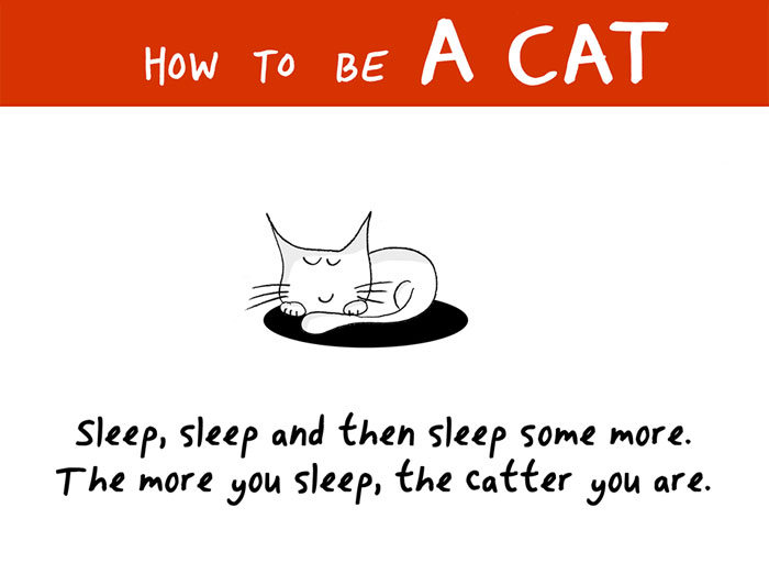 How To Be A Cat (97 pics)