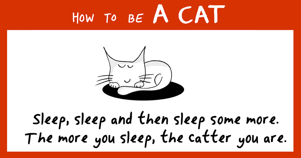 How To Be A Cat (97 pics) | Bored Panda