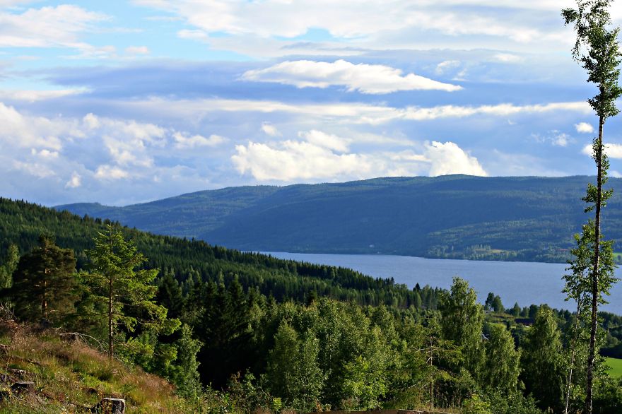 View Over Randsfjorden