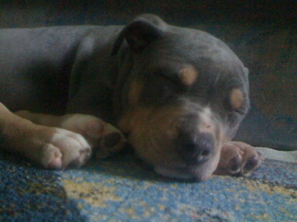 First Nap In New Home..6 Years Ago