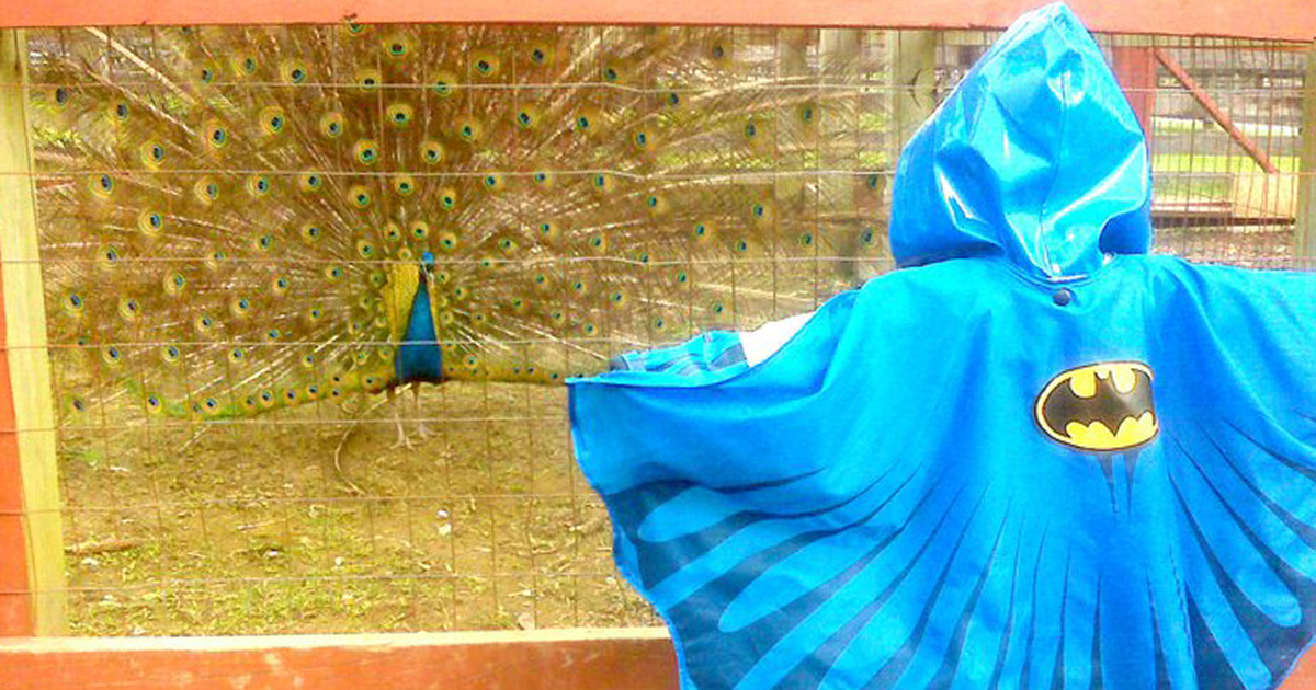 batman jacket with cape