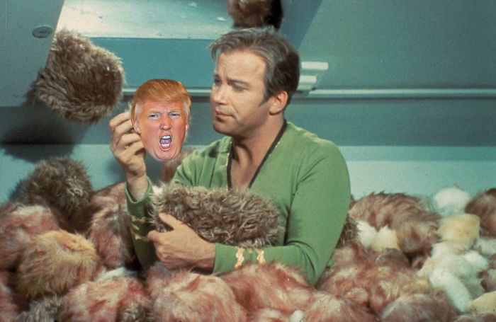Kirk And The Trumples
