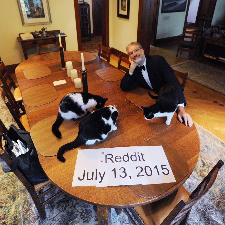 When His Wife Goes On Vacation, This Man Has Secret Fancy Dinners With His Cats