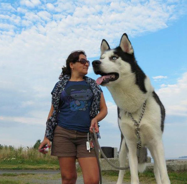 18 Fotos en el momento justo que convierten a estos perros en gigantes