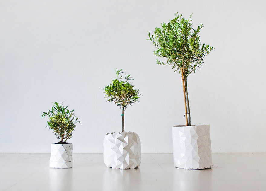 origami-pot-plant-grows-studio-ayaskan-4