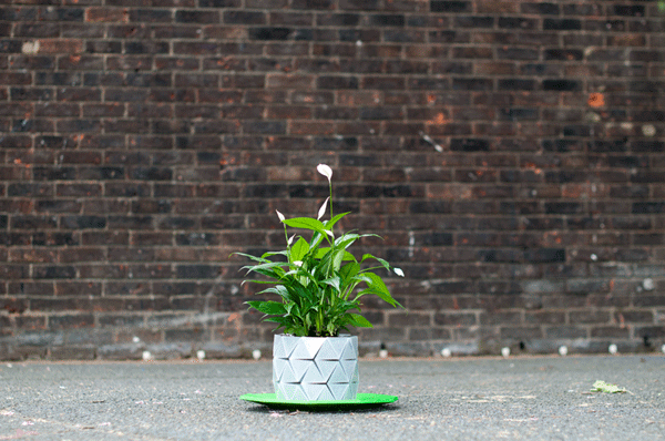 Shape-Shifting 'Origami' Pots That Grow Together With Your Plants