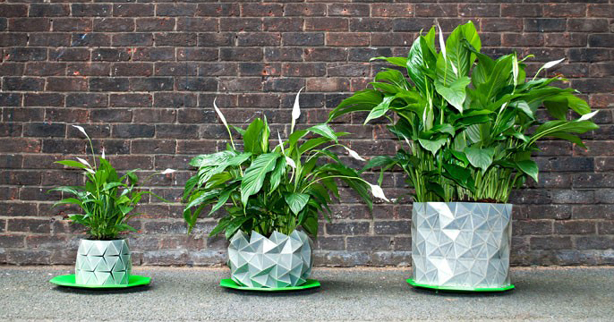 https://static.boredpanda.com/blog/wp-content/uploads/2015/07/origami-pot-plant-grows-studio-ayaskan-fb.jpg