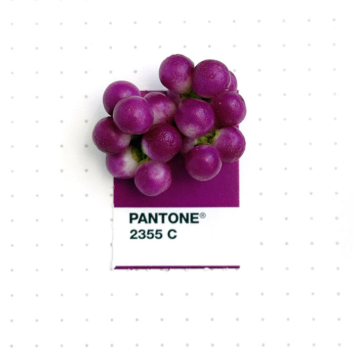 Designer Pairs Pantone Swatches With Tiny Everyday Objects