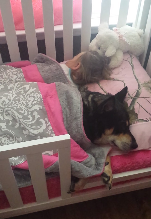 Mom Goes To Check On Her Baby And Finds Rescued Dog Napping With Her