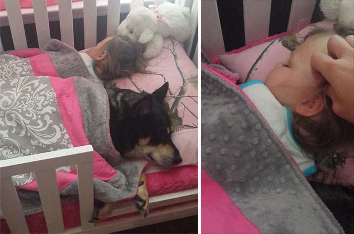 Mom Goes To Check On Her Baby And Finds Rescued Dog Napping With Her