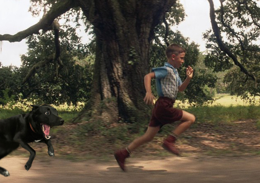Run Forrest! Run!