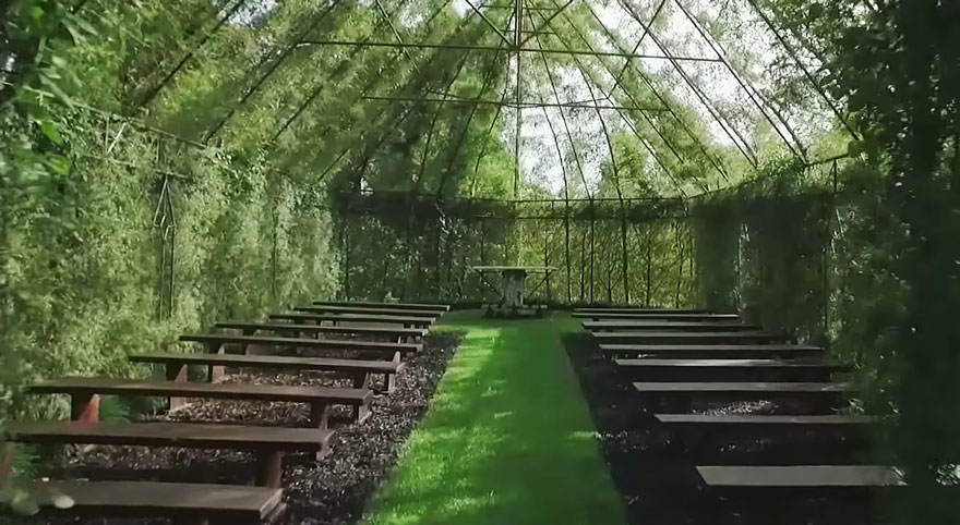 This Guy Spent 4 Years Growing A Church From Trees