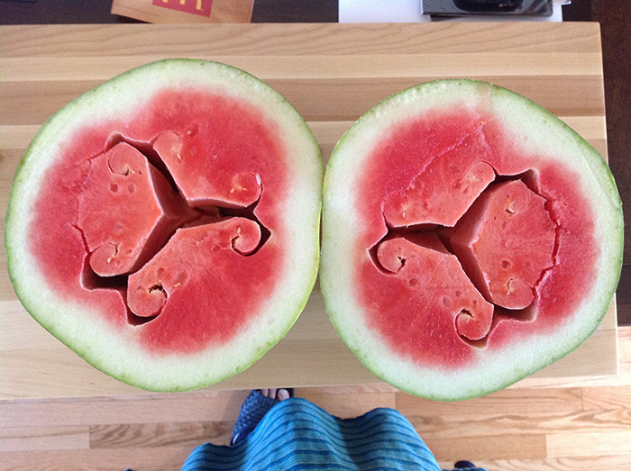 weird-watermelons-beautiful-hollow-heart-1