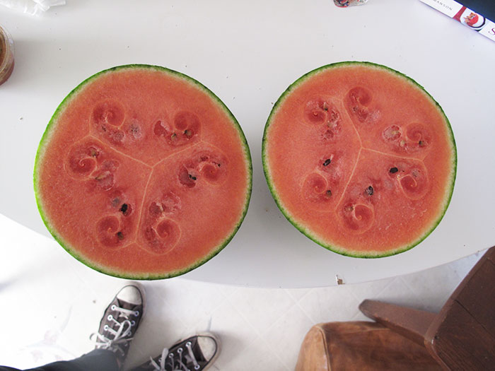 weird-watermelons-beautiful-hollow-heart-11