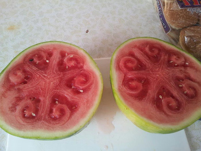 weird-watermelons-beautiful-hollow-heart-6