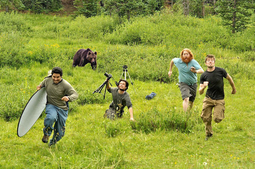 What About This Guys? This Bear Definitely Want To Participate In The Photography.