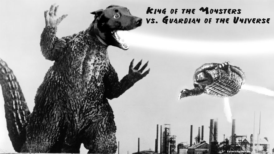 King Of The Monsters Vs. Guardian Of The Universe
